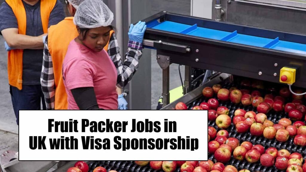 Fruit Packer Jobs in the UK with Visa Sponsorship