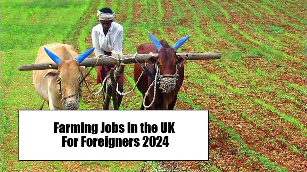 Farming Jobs in the UK For Foreigners 2024