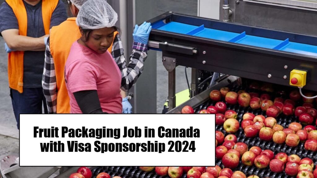 Fruit Packaging Job in Canada with Visa Sponsorship 2024