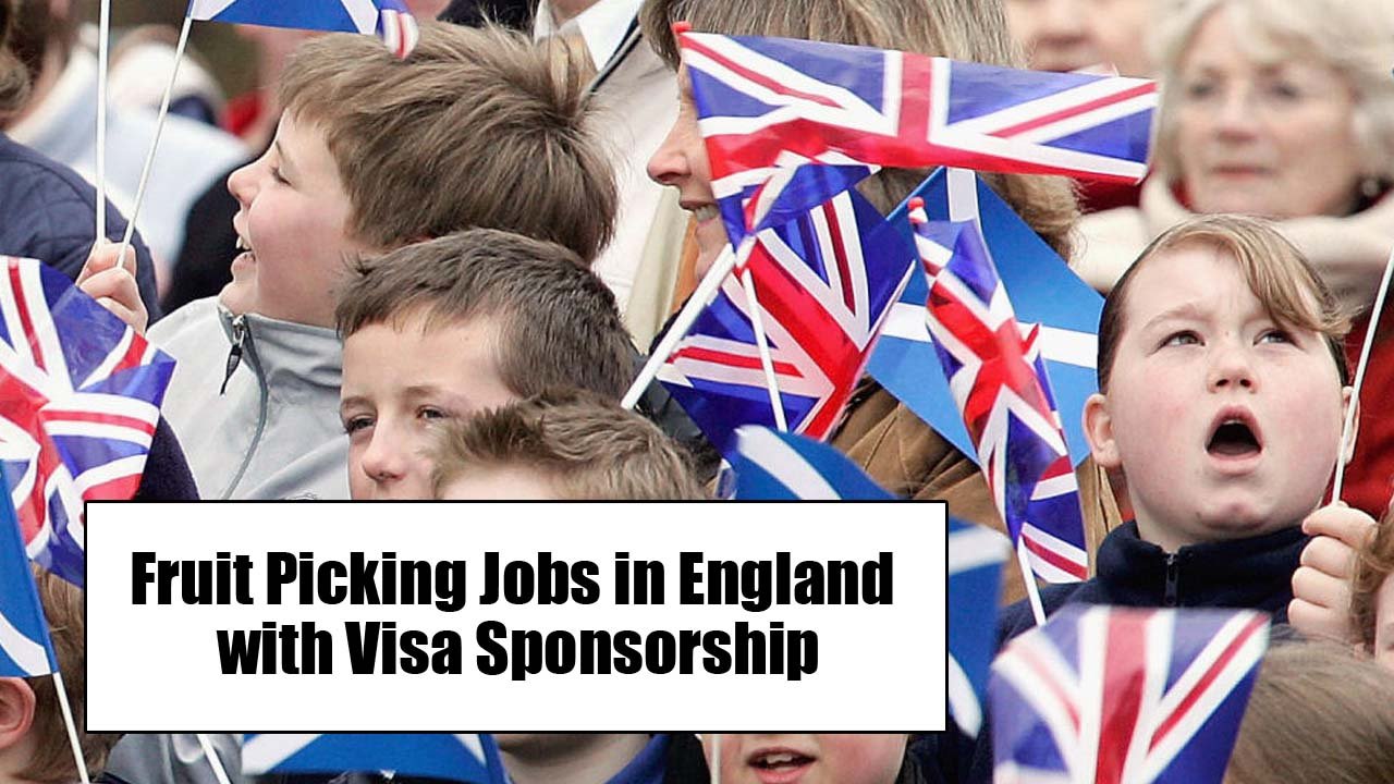 Fruit Picking Jobs in England with Visa Sponsorship