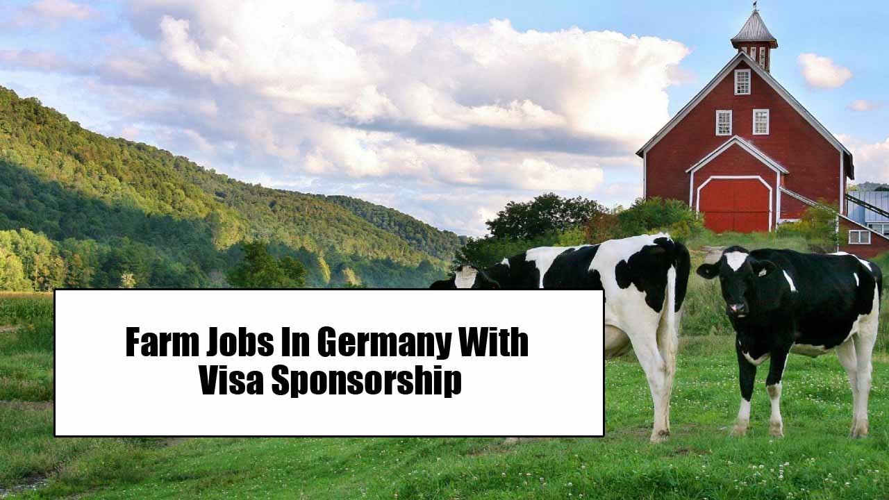 Farm Jobs In Germany With Visa Sponsorship (International Applicants)