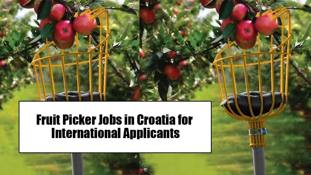 Fruit Picker Jobs in Croatia for International Applicants (2024)