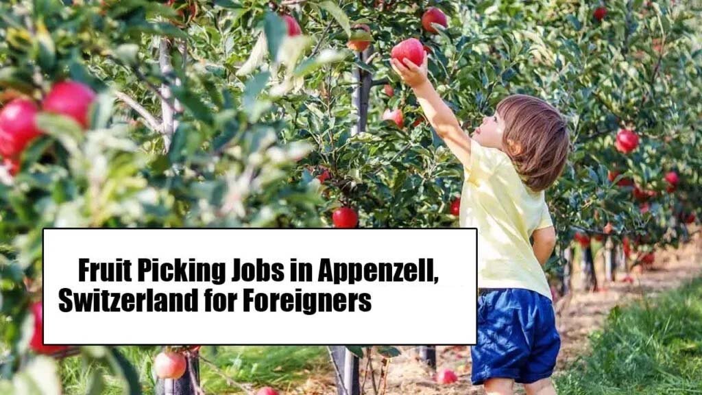 Fruit Picking Jobs in Appenzell, Switzerland for Foreigners