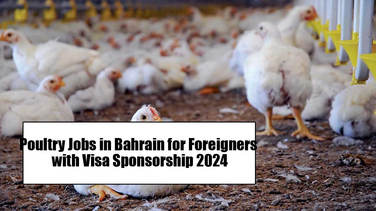 Poultry Jobs in Bahrain for Foreigners