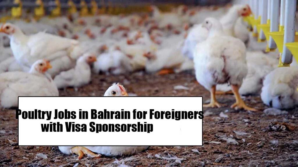 Poultry Jobs in Bahrain for Foreigners with Visa Sponsorship 2025