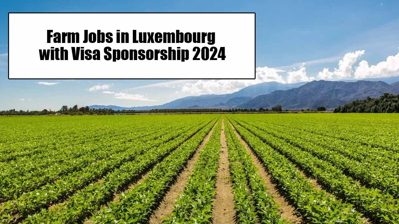 Farm Jobs in Luxembourg with Visa Sponsorship 2024