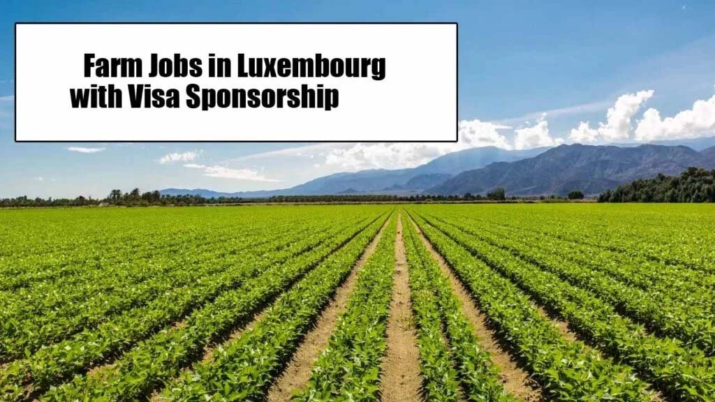 Farm Jobs in Luxembourg with Visa Sponsorship