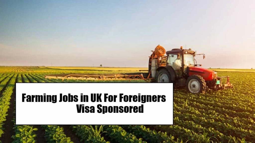 Farming Jobs in the UK For Foreigners