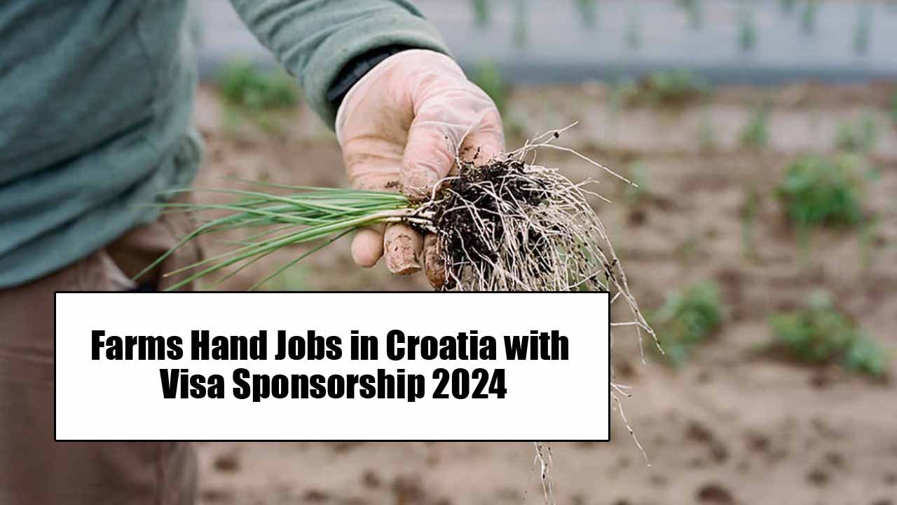 Farms Hand Jobs in Croatia with Visa Sponsorship 2024