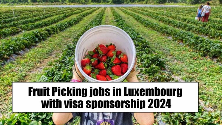 Fruit Picking Jobs In Luxembourg With Visa Sponsorship 2024