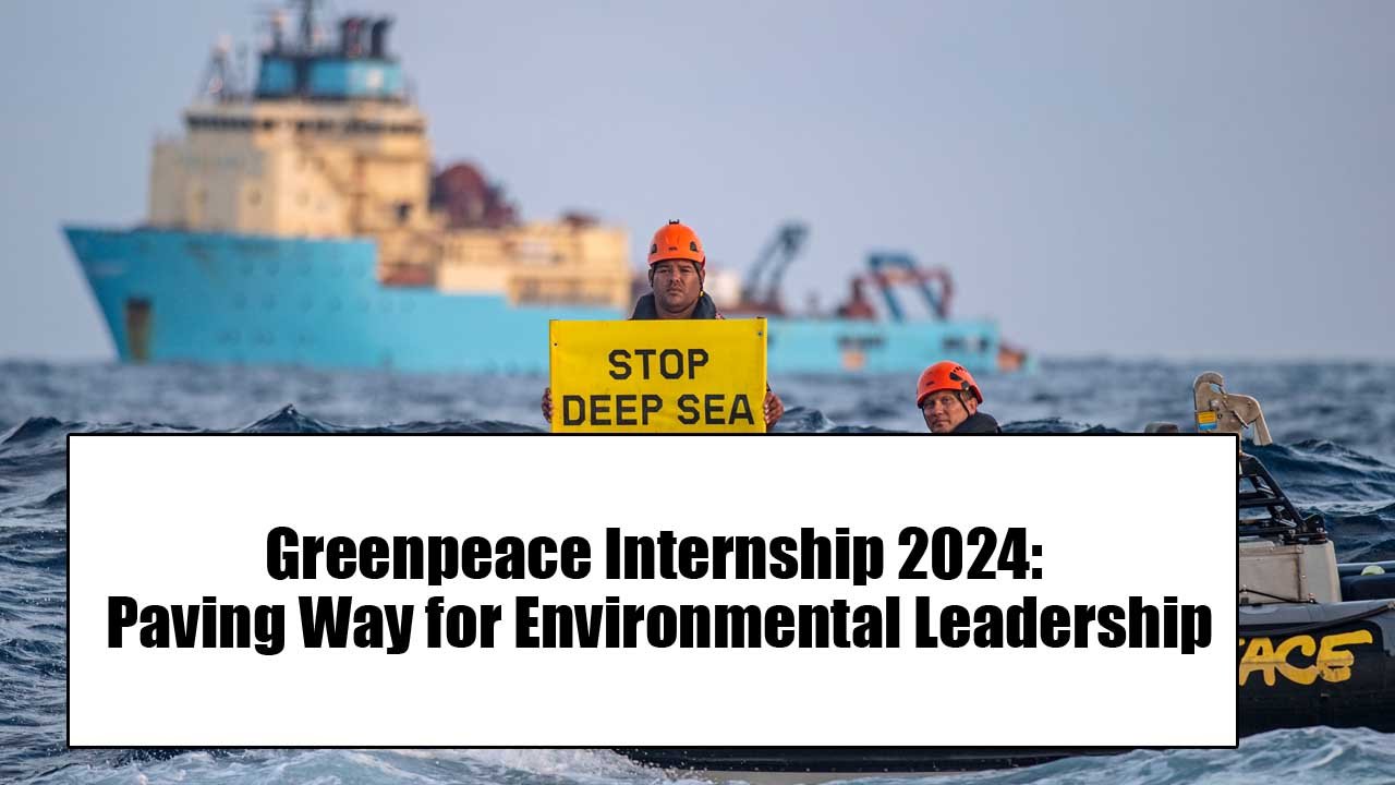 Greenpeace Internship 2024: Paving the Way for Environmental Leadership