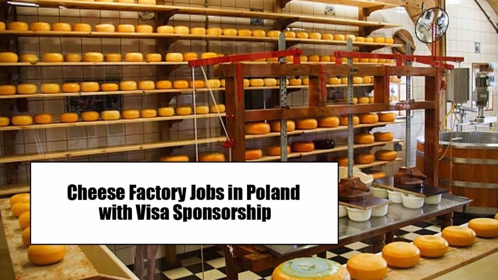 Cheese Factory Jobs in Poland with Visa Sponsorship