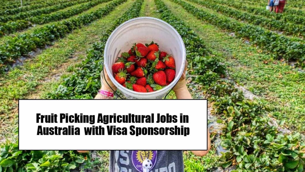 Fruit Picking Agricultural Jobs in Australia 2024 with Visa Sponsorship