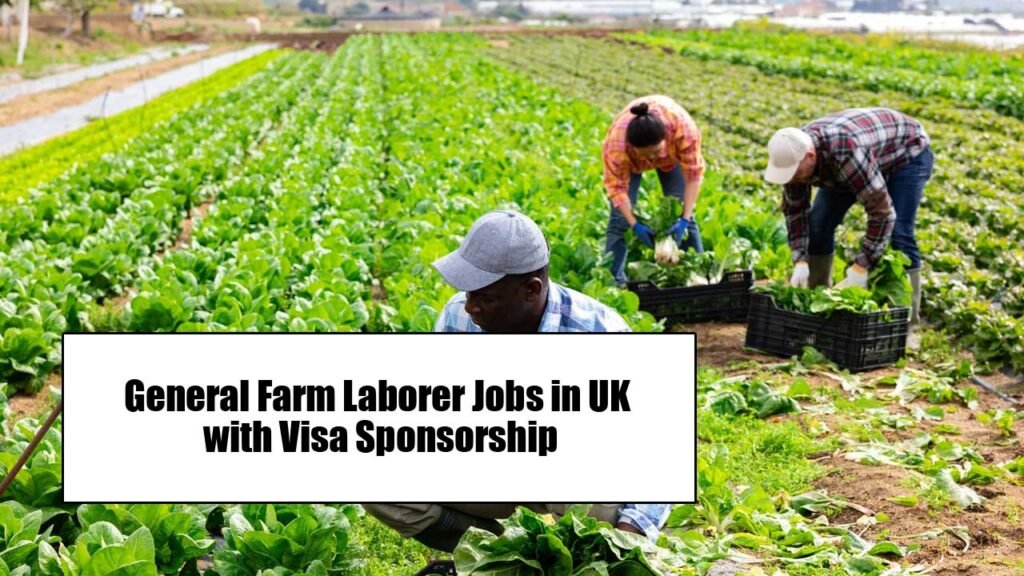 General Farm Laborer Jobs in UK with Visa Sponsorship