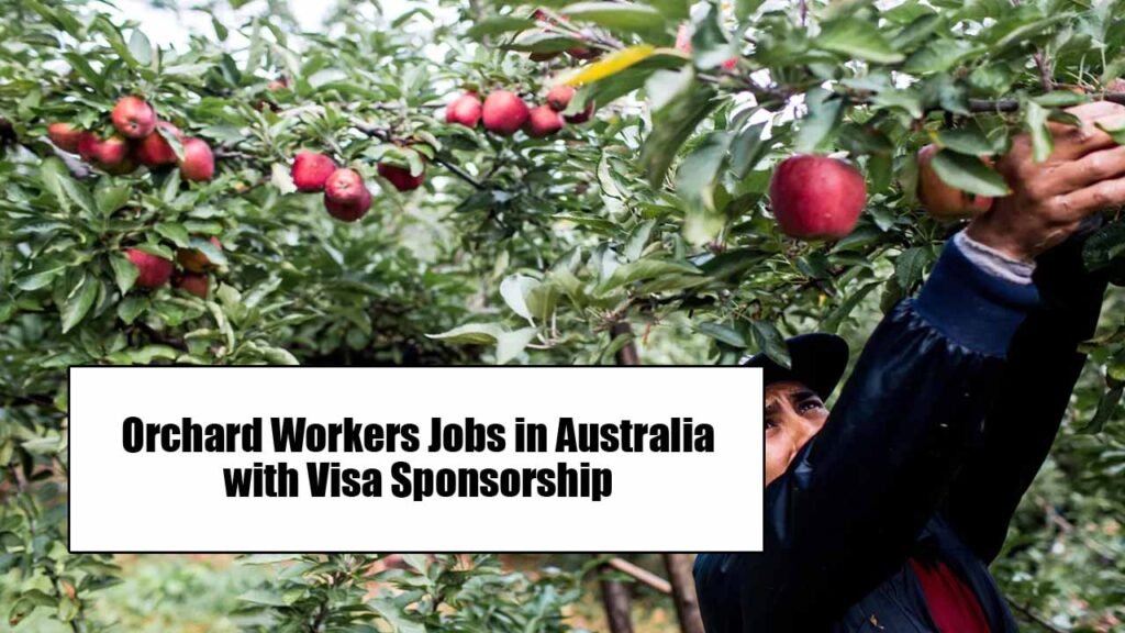 Orchard Workers Jobs in Australia 2024 with Visa Sponsorship