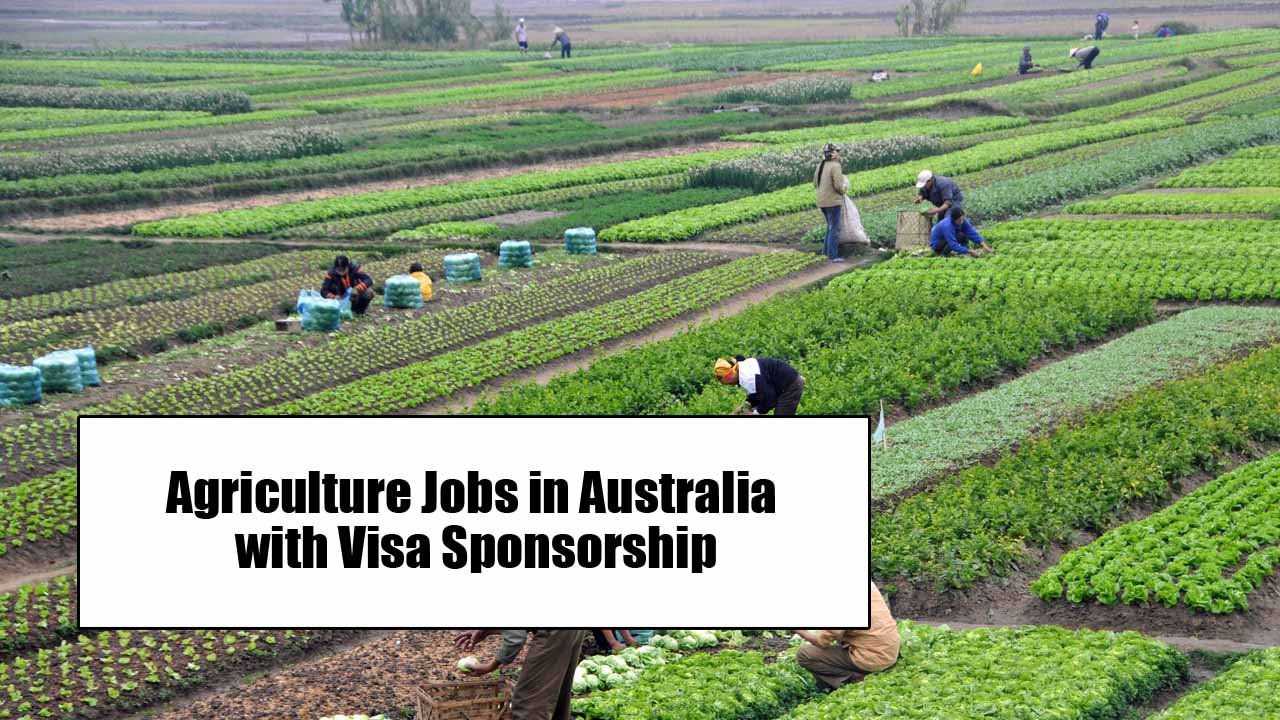 Agriculture Jobs in Australia with Visa Sponsorship