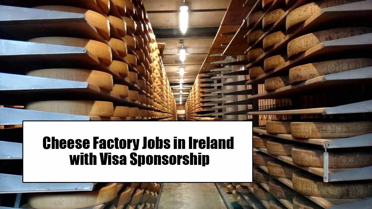 Cheese Factory Jobs in Ireland with Visa Sponsorship