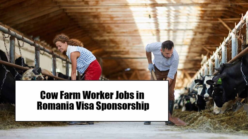 Cow Farm Worker Jobs in Romania Visa Sponsorship