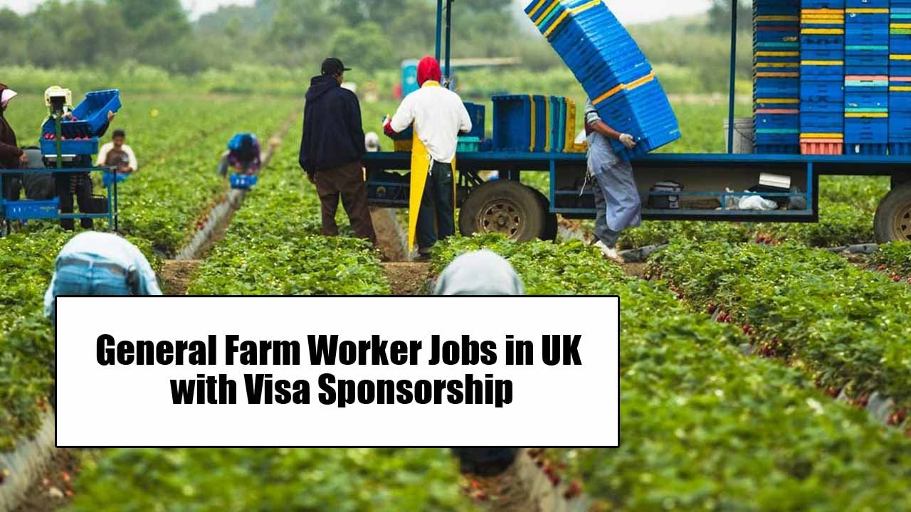 Jobs In UK