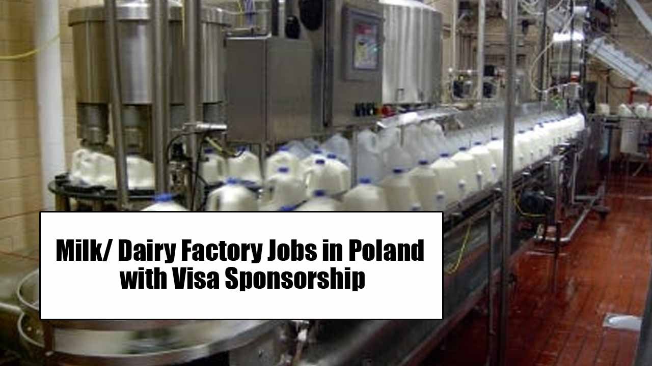 Milk/ Dairy Factory Jobs in Poland with Visa Sponsorship