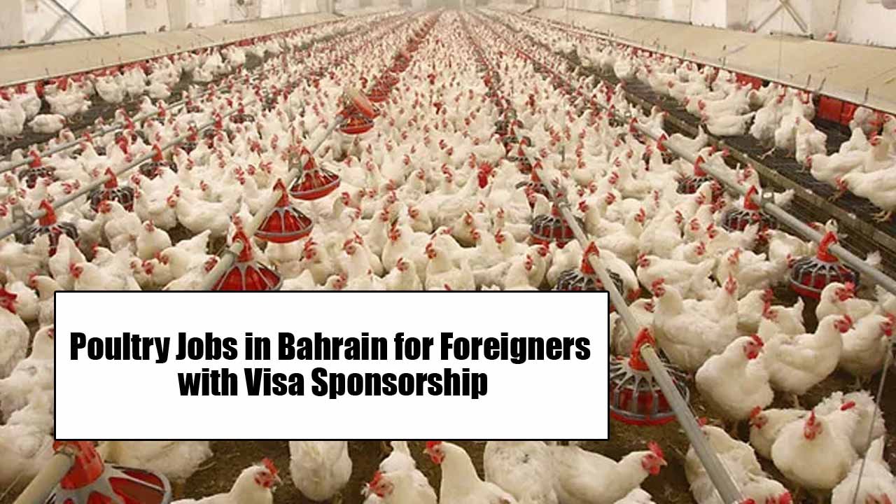 Poultry Jobs in Bahrain for Foreigners with Visa Sponsorship