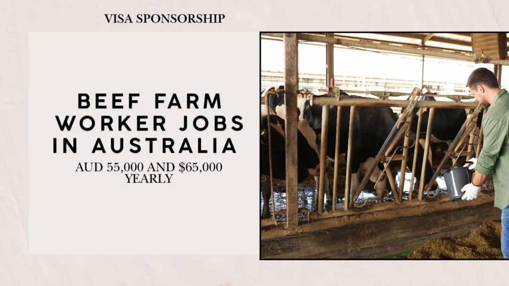 Beef Farm Worker Jobs in Australia with Visa Sponsorship