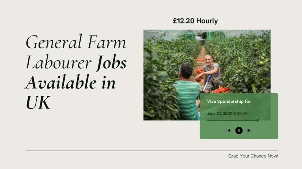 General Farm Labourer Jobs in UK with Visa Sponsorship 2025 (£12.20 Hourly)