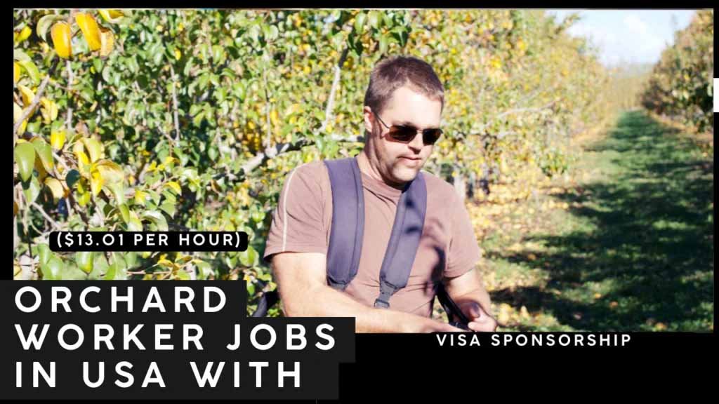 Orchard Worker Jobs in USA with Visa Sponsorship