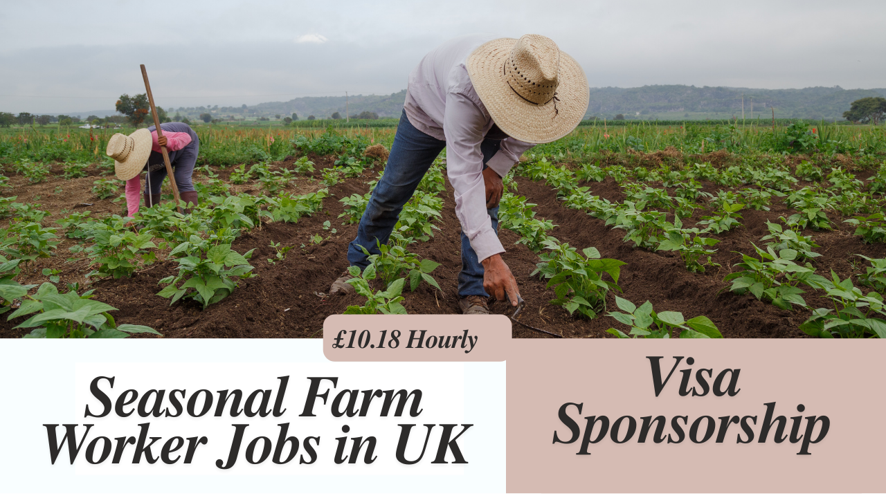 Seasonal Farm Worker Jobs in UK