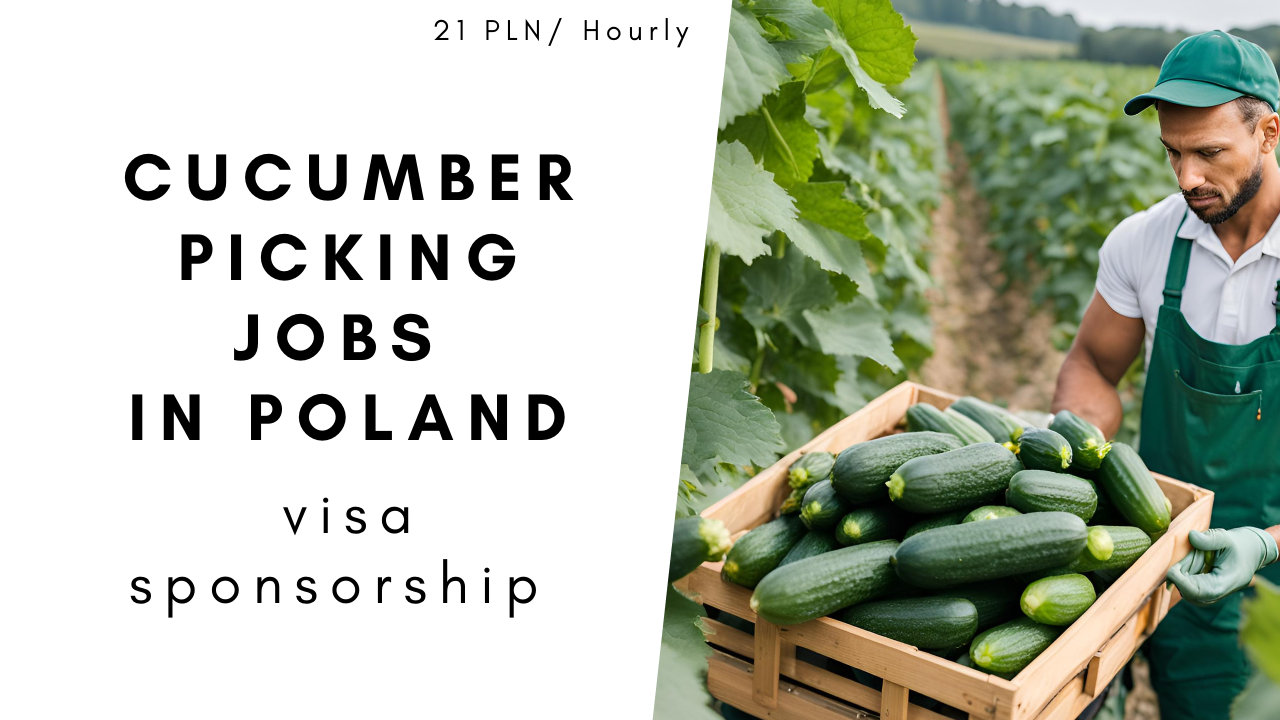 Cucumber Picking Jobs in Poland