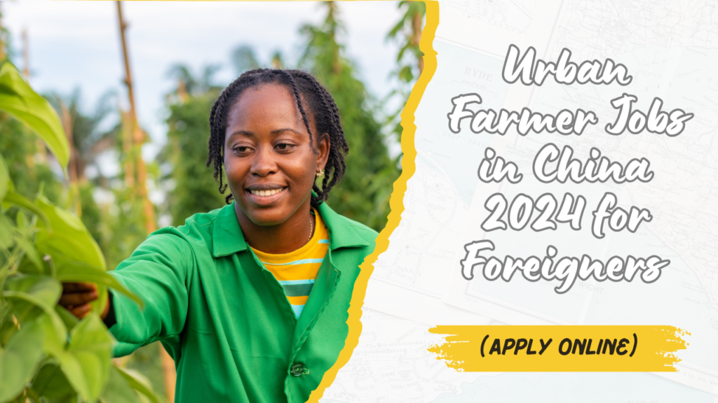 Urban Farmer Jobs in China 2024 for Foreigners