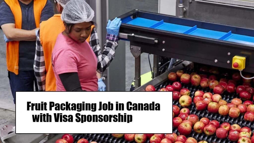 Fruit Packaging Job in Canada with Visa Sponsorship 2025 - Golden Opportunity