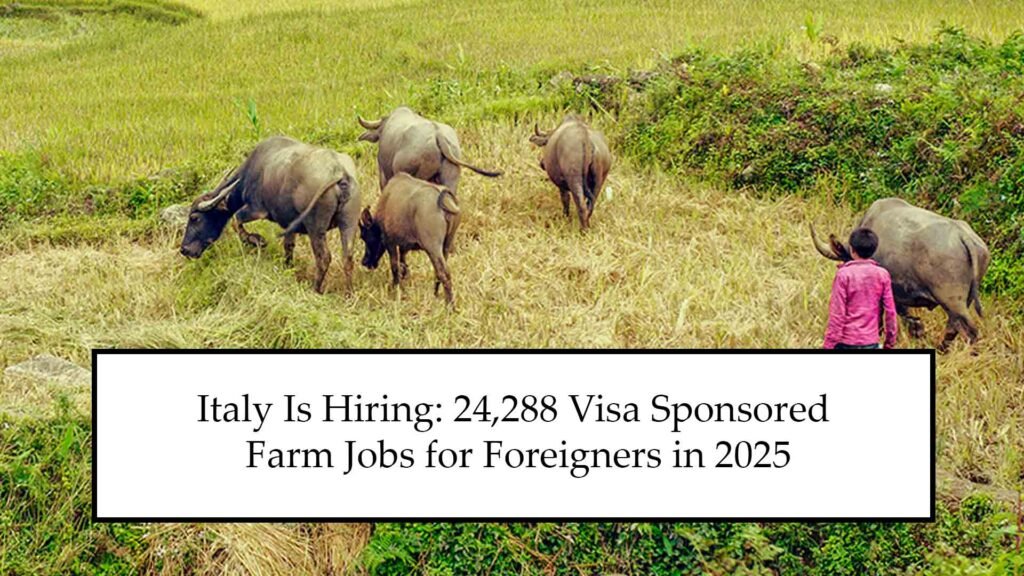 24,288 Visa Sponsored Farm Jobs for Foreigners in 2025