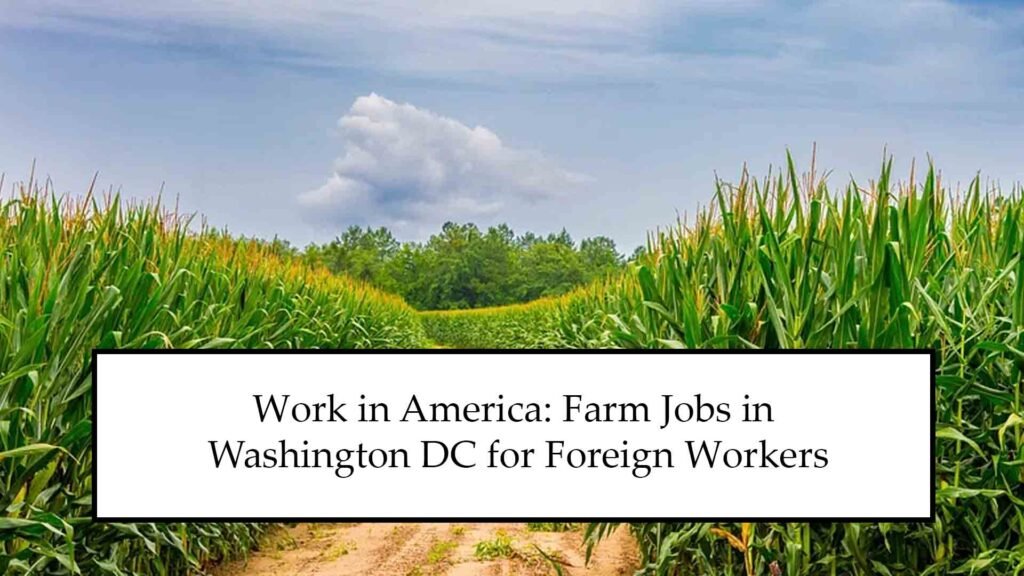 Farm Jobs in Washington DC for Foreign
