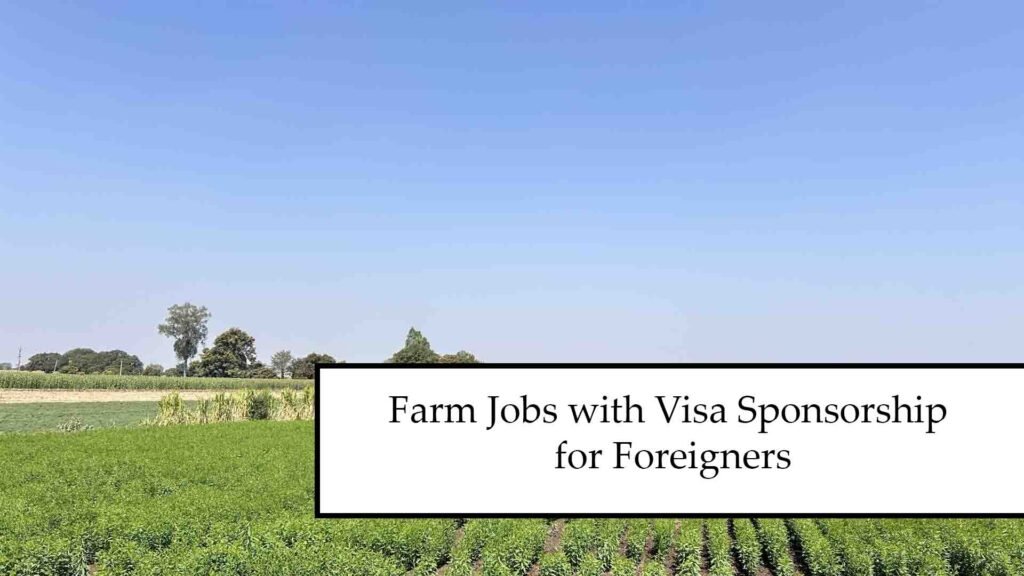 Farm Jobs with Visa Sponsorship for Foreigners
