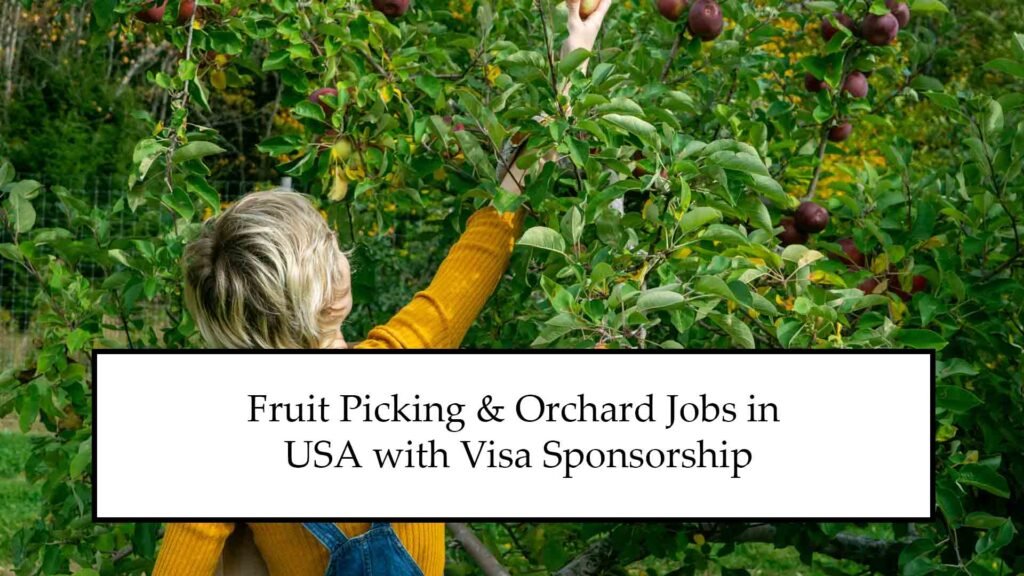 Fruit Picking & Orchard Jobs in USA 2025 with Visa Sponsorship