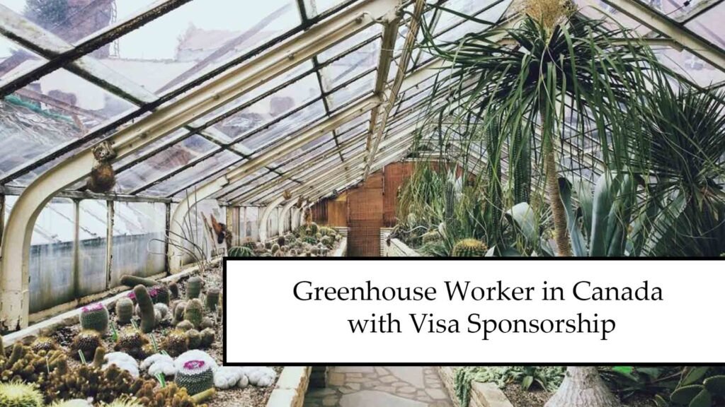 Greenhouse Worker in Canada with Visa Sponsorship