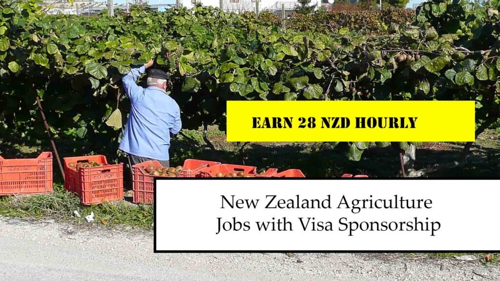 New Zealand Agriculture Jobs with Visa Sponsorship