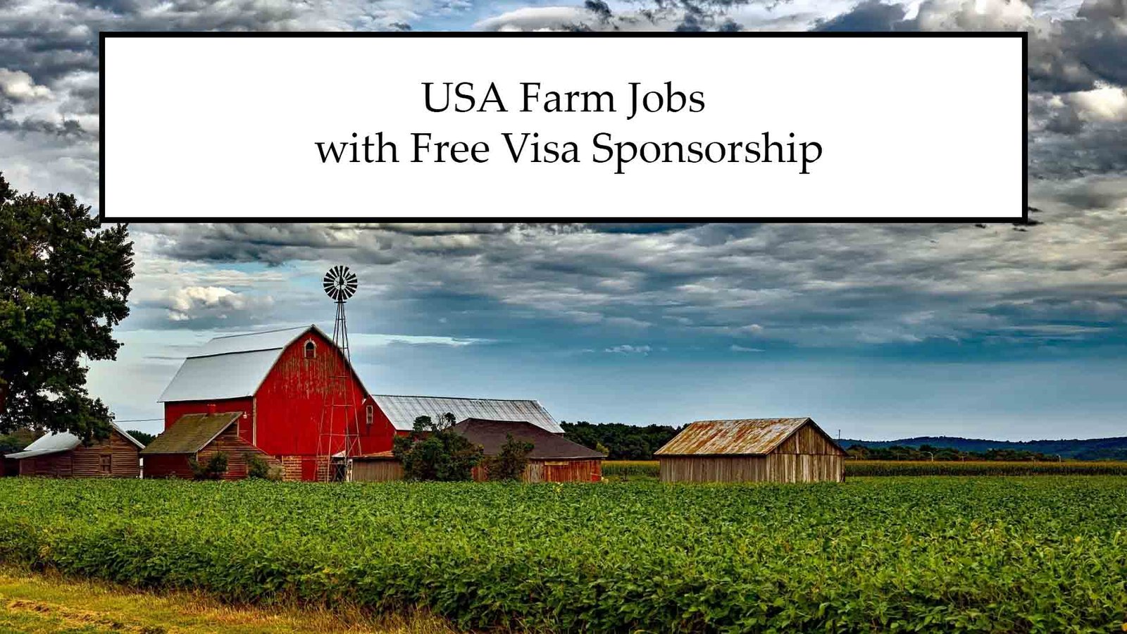 USA Farm Jobs with Free Visa Sponsorship – Full 2025 Application Process