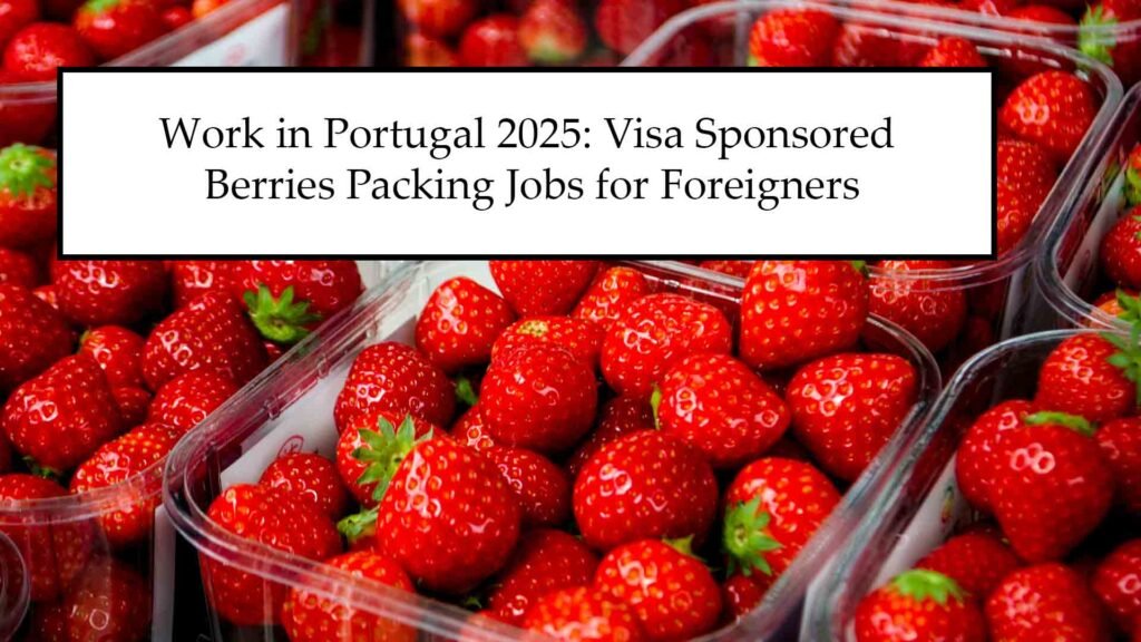 Work in Portugal 2025: Visa Sponsored Berries Packing Jobs for Foreigner