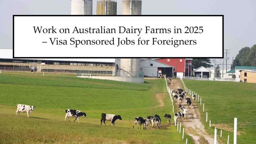 Work on Australian Dairy Farms in 2025 – Visa Sponsored Jobs for Foreigners