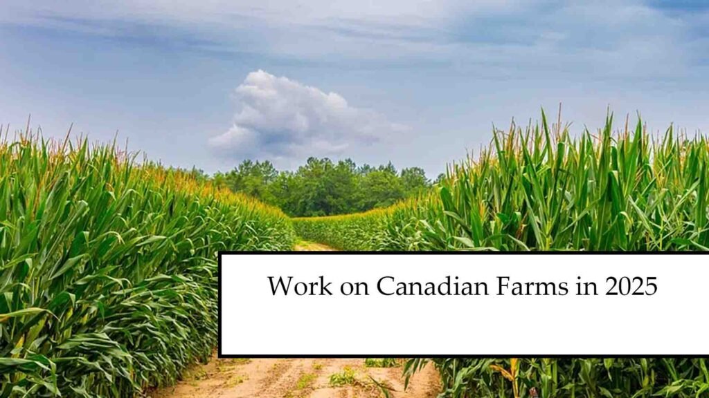 Work on Canadian Farms in 2025